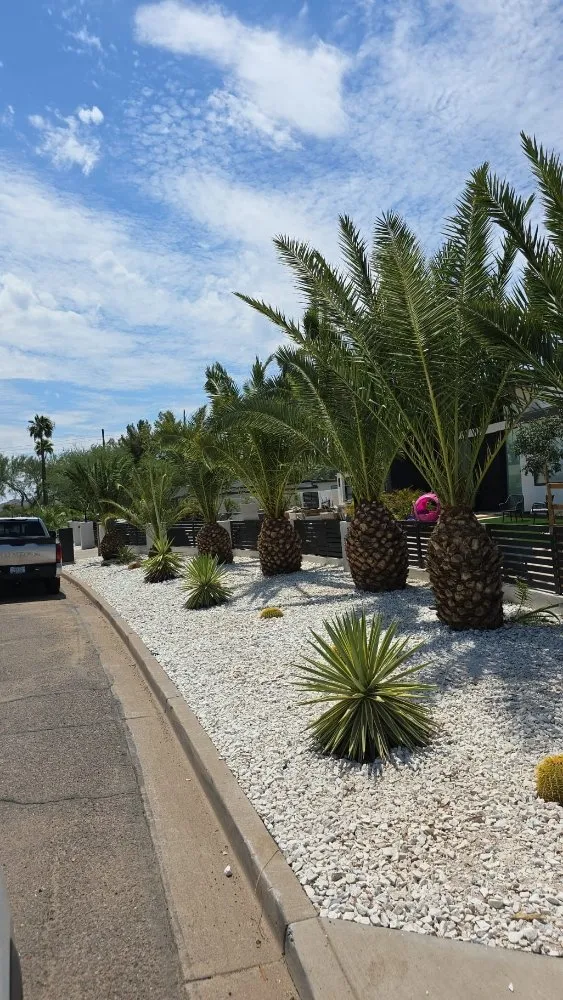 Expert residential landscaping in Phoenix, AZ by RN Landscape