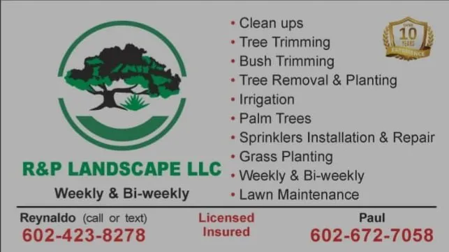 Trusted lawn care service for year-round maintenance in Phoenix, AZ by RN Landscape