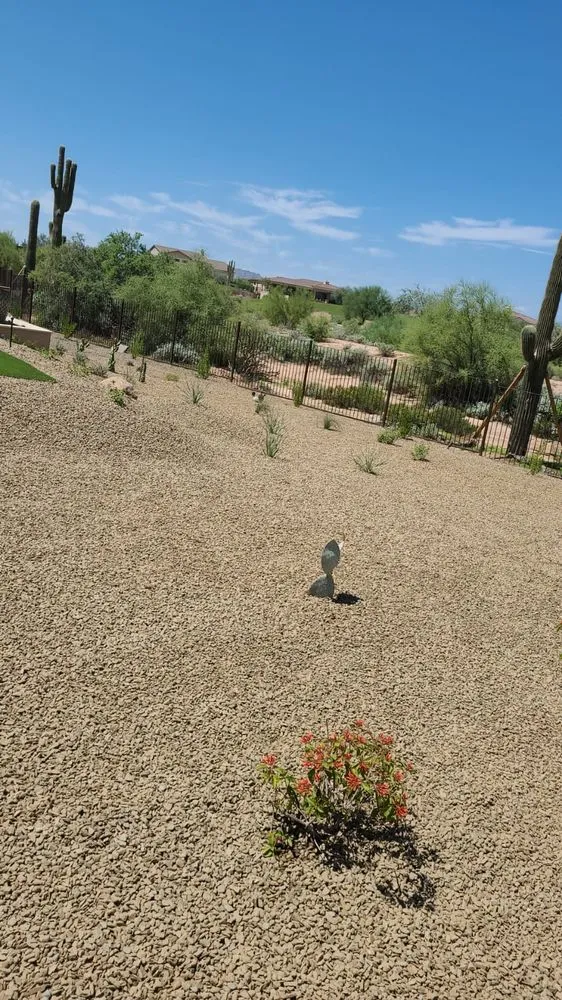 Affordable lawn mowing service in Phoenix, AZ by RN Landscape