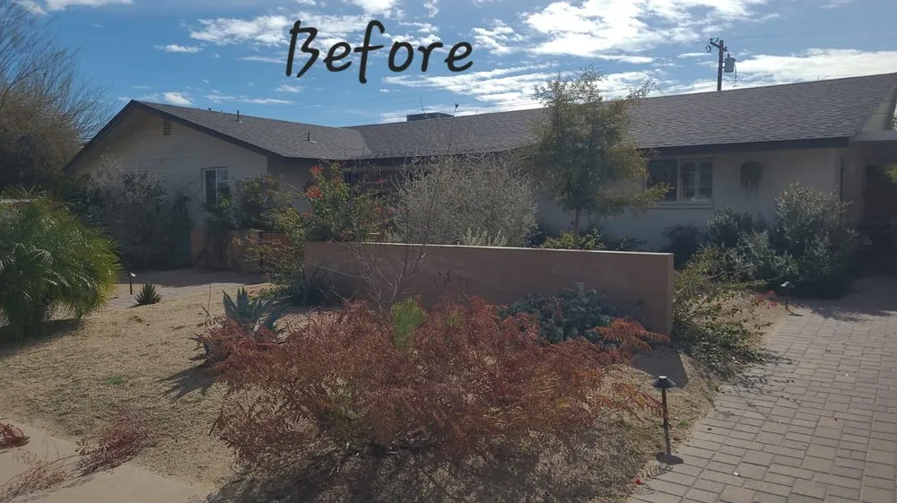 Top-rated landscape design experts serving Phoenix, AZ - RN Landscape