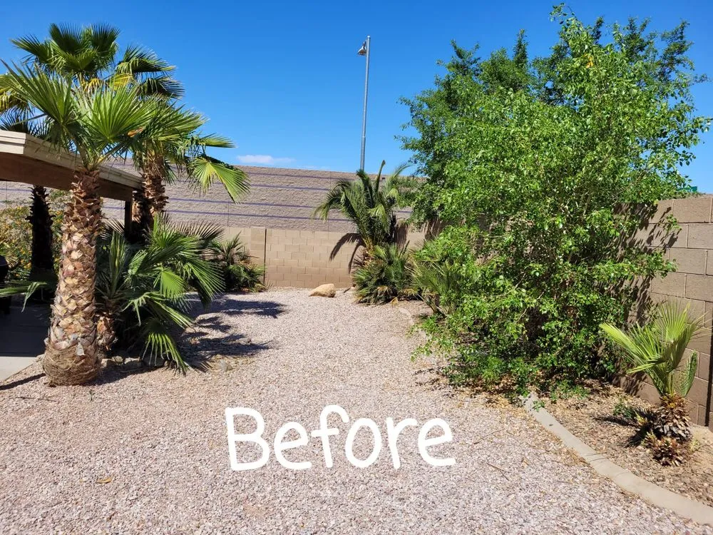 Top-rated lawn care service in Phoenix, AZ by RN Landscape