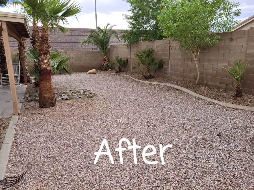 Top-rated outdoor landscaping in Phoenix, AZ - RN Landscape