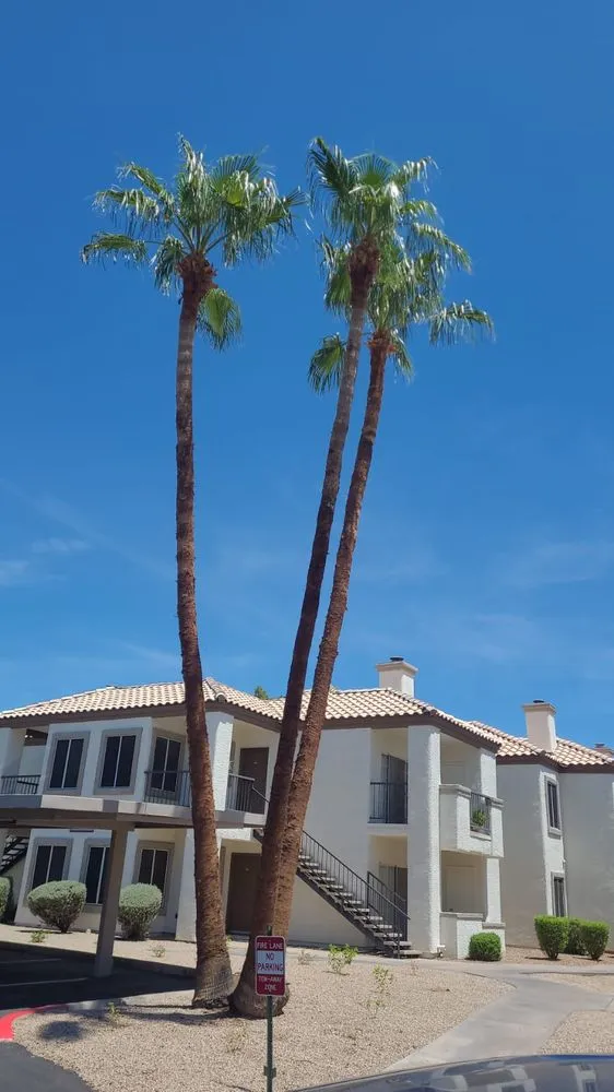 Expert garden landscaping experts serving Phoenix, AZ - RN Landscape