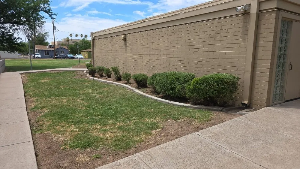 Expert landscape design in Phoenix, AZ by RN Landscape