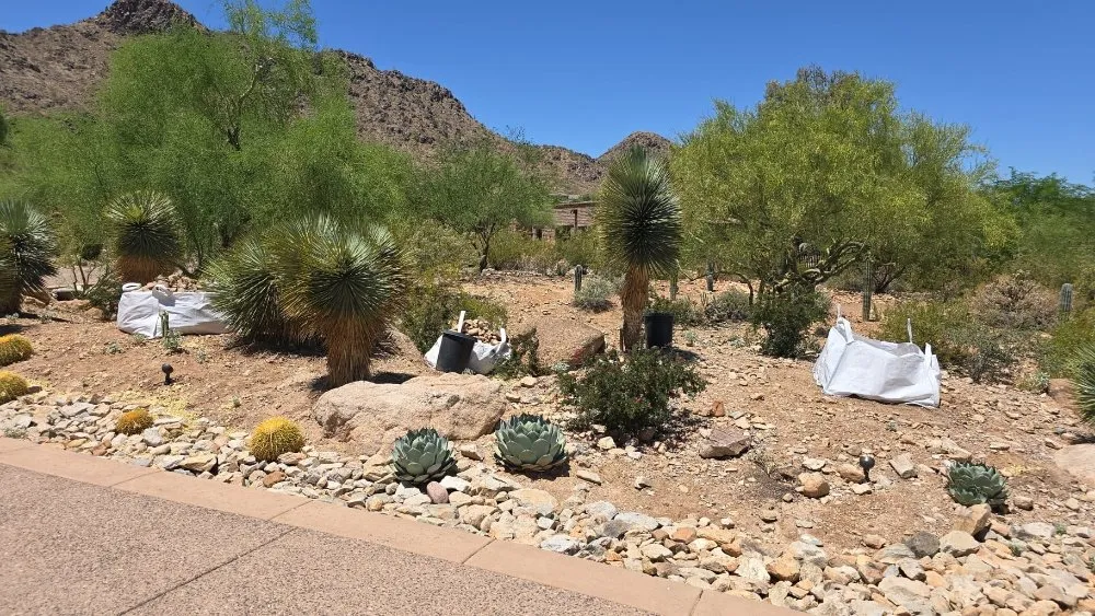 Expert landscape installation in Phoenix, AZ - RN Landscape