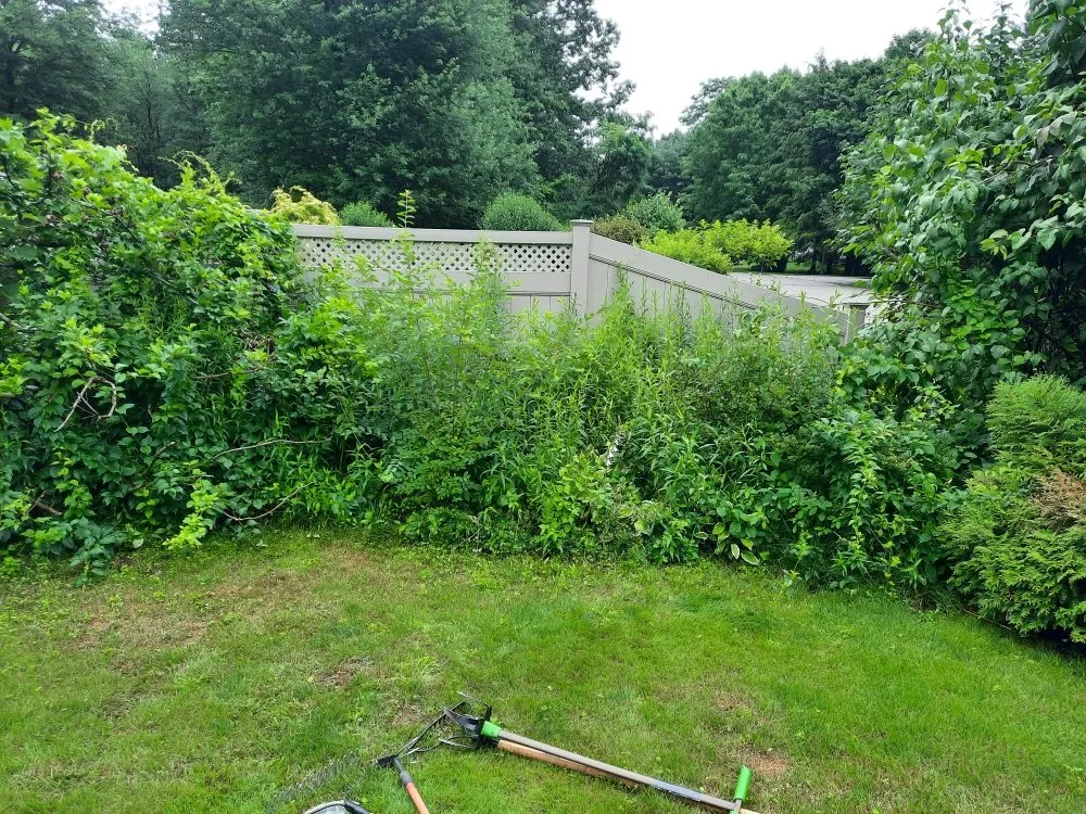 Local lawn mowing service near you in North Hampton, NH by R&N Odd Jobs