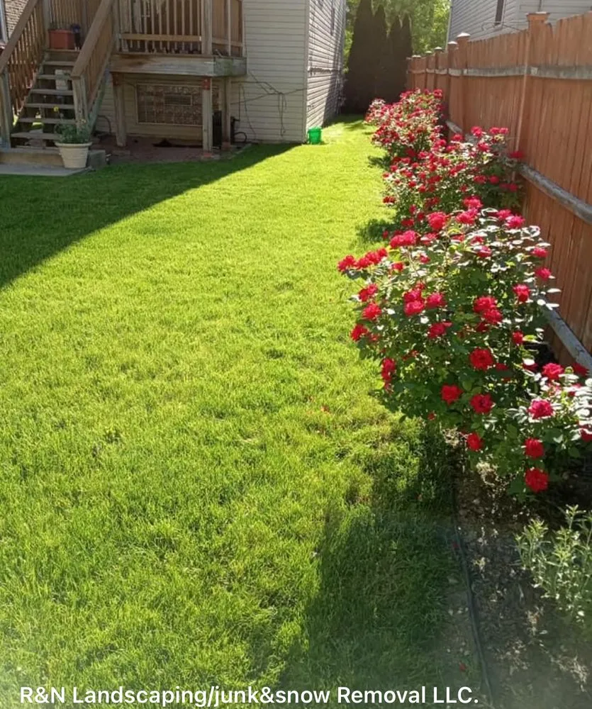 Affordable landscape installation for beautiful yards in Chicago, IL by R&N Services