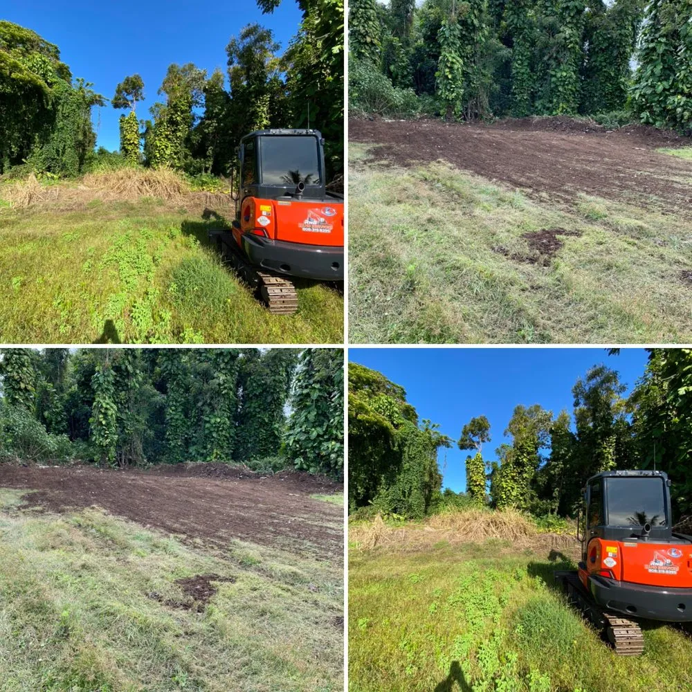 Reliable yard cleanup service for year-round maintenance in Hilo, HI by RNB Land Services