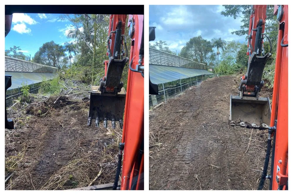 Custom residential landscaping experts serving Hilo, HI - RNB Land Services