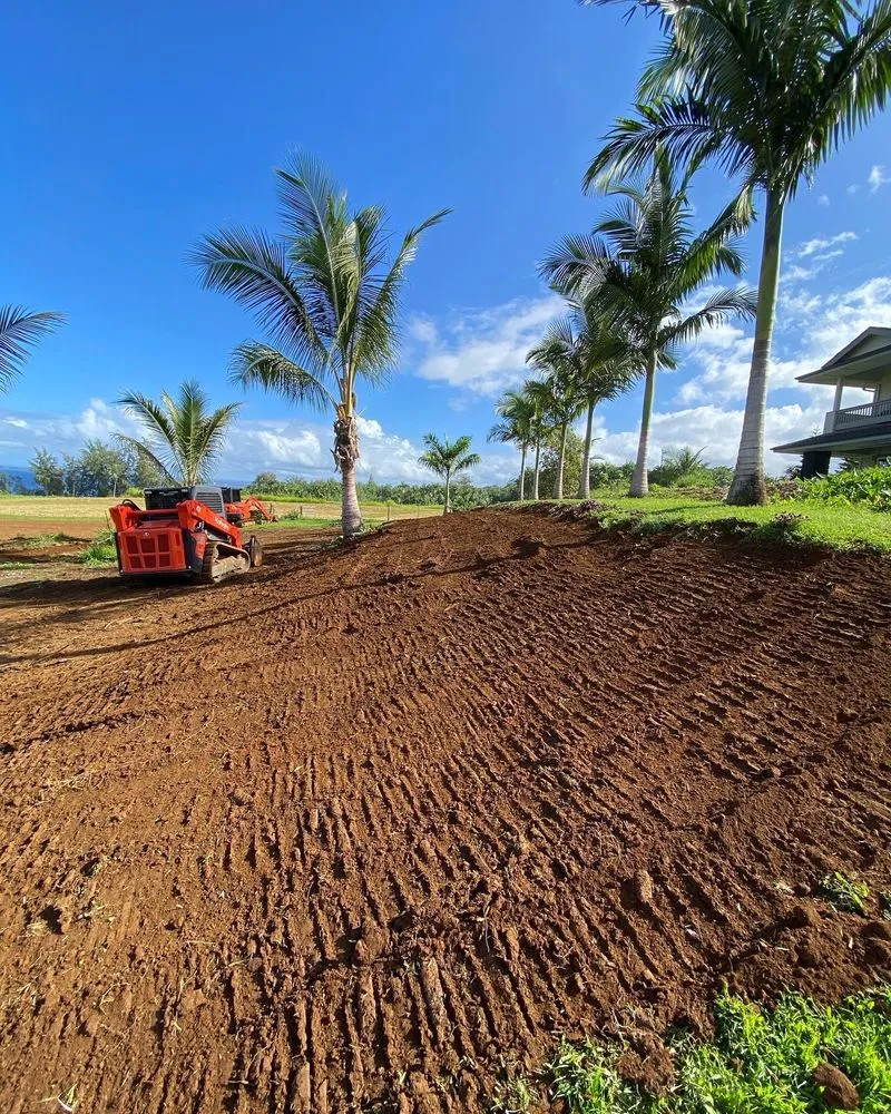 Reliable yard cleanup service in Hilo, HI by RNB Land Services