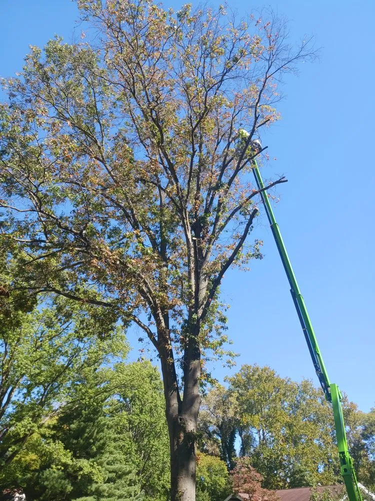 Custom yard maintenance for beautiful yards across Bonne Terre, MO - Rnb Tree Service