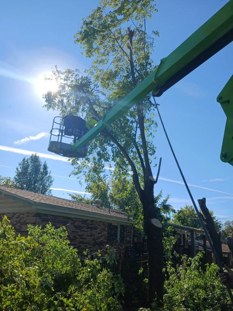 Local landscaping services for beautiful yards in Bonne Terre, MO by Rnb Tree Service