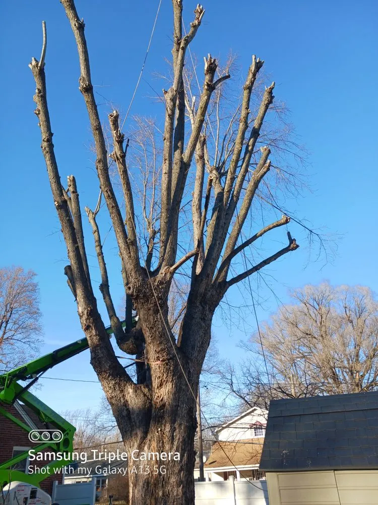 Trusted lawn mowing service near you across Bonne Terre, MO - Rnb Tree Service