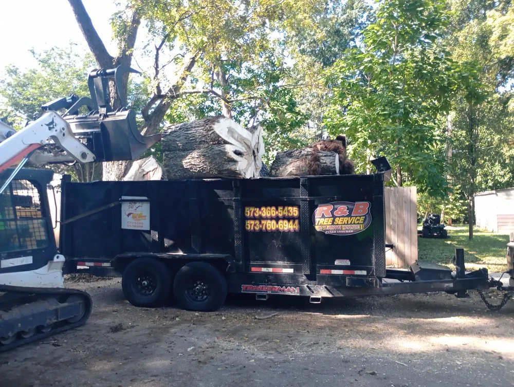 Reliable lawn mowing service for beautiful yards in Bonne Terre, MO by Rnb Tree Service