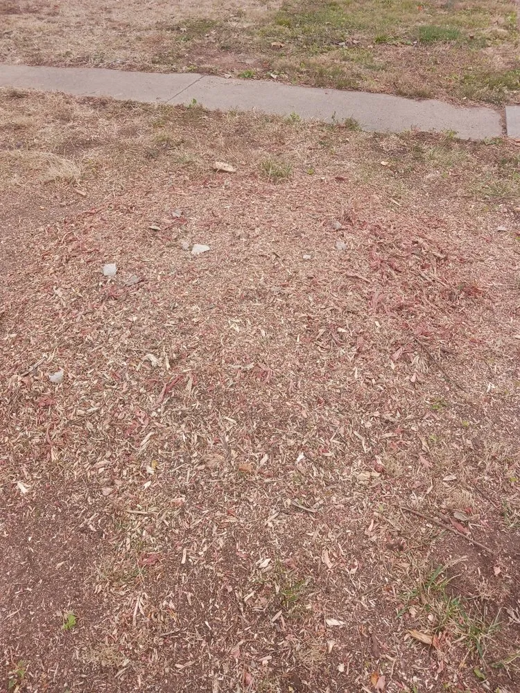 Trusted landscape design in Bonne Terre, MO by Rnb Tree Service