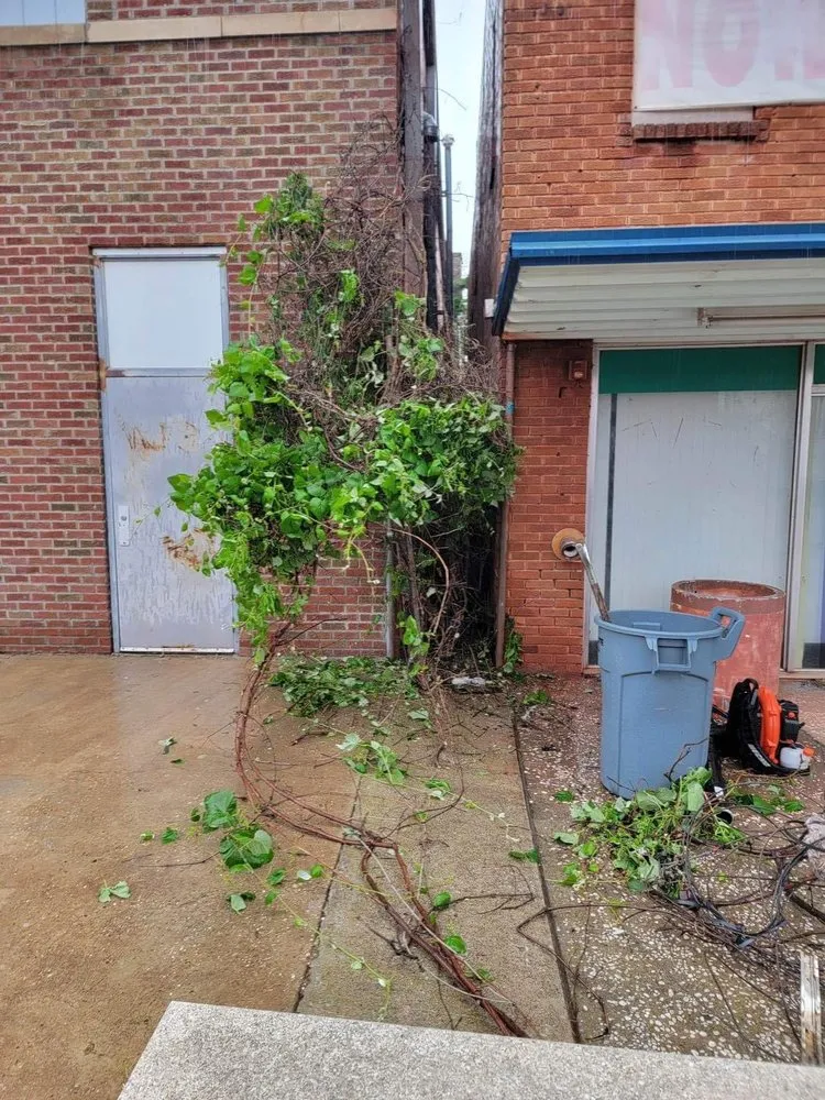 Professional lawn mowing service in Oklahoma City, OK - RNC Landscaping & Services