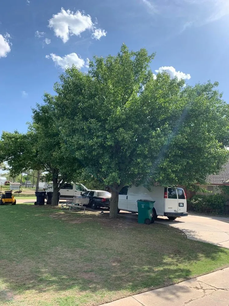 Custom landscape installation experts serving Oklahoma City, OK - RNC Landscaping & Services