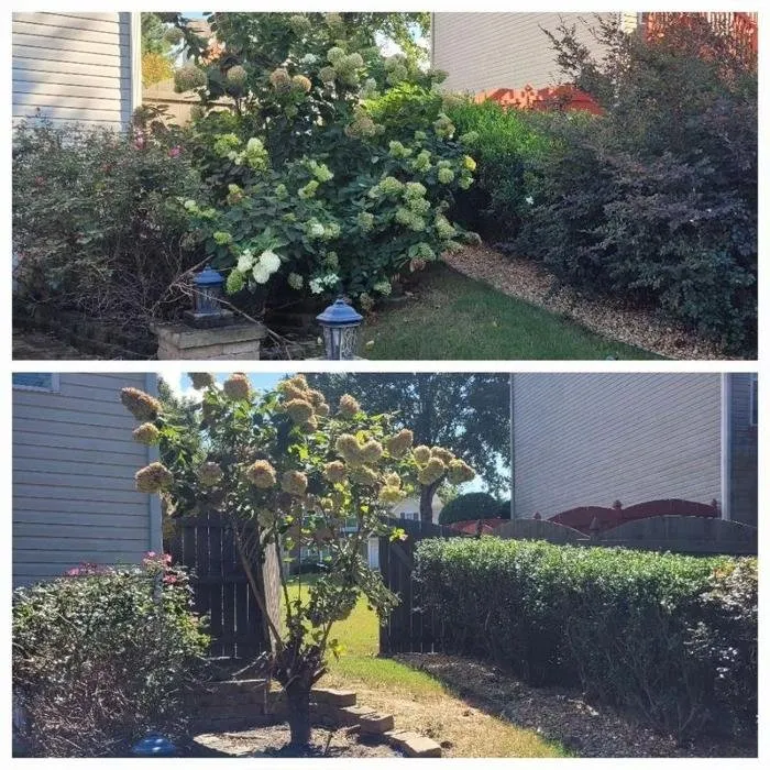 Affordable outdoor landscaping in Lawrenceville, GA - RNC Landscaping