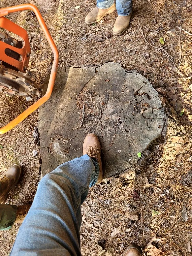 Local residential landscaping in Lawrenceville, GA by RNC Landscaping