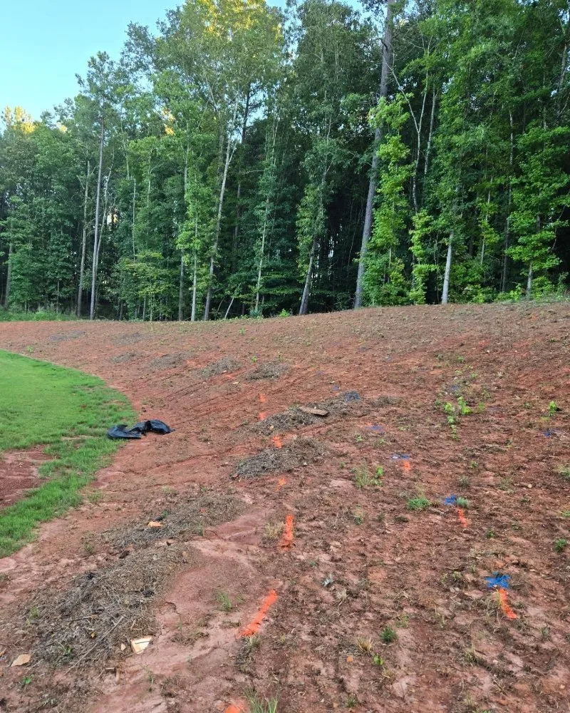 Custom landscaping services for beautiful yards in Lawrenceville, GA by RNC Landscaping