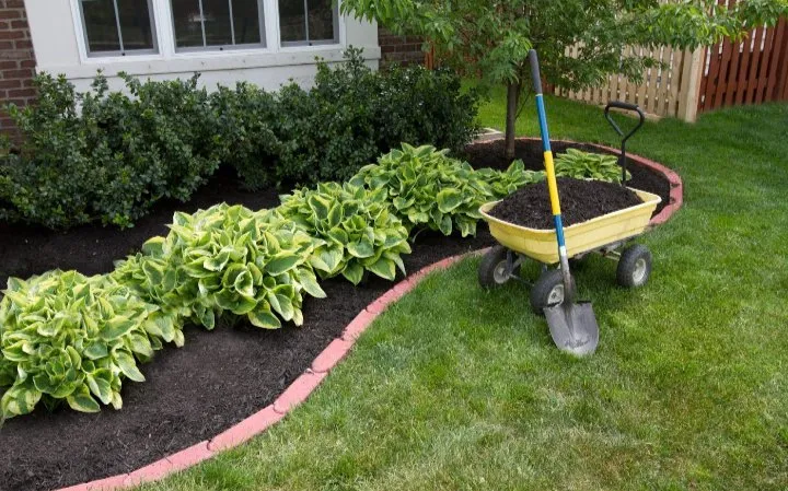 Expert lawn care service in Massillon, OH - Rnc Lawn Care