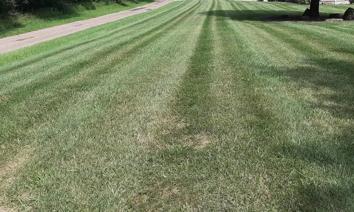 Affordable yard cleanup service with custom design in Massillon, OH by Rnc Lawn Care