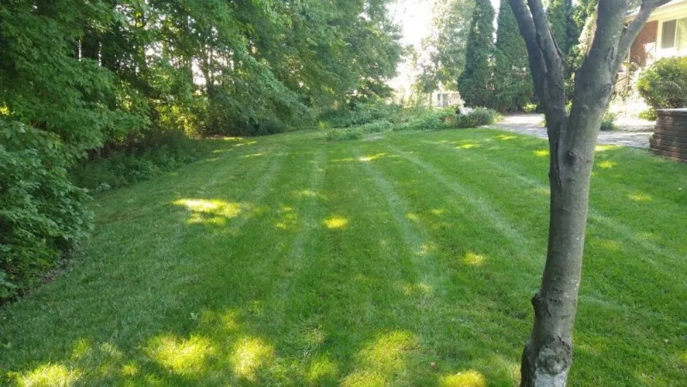 Expert landscape installation for beautiful yards across Pontiac, MI - RNC Lawn care