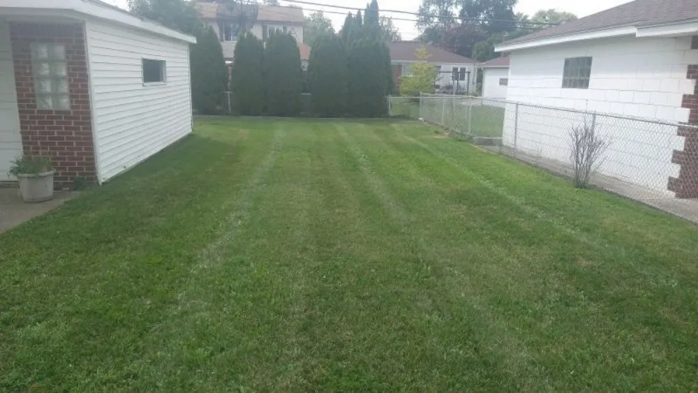 Trusted yard maintenance in Pontiac, MI - RNC Lawn care
