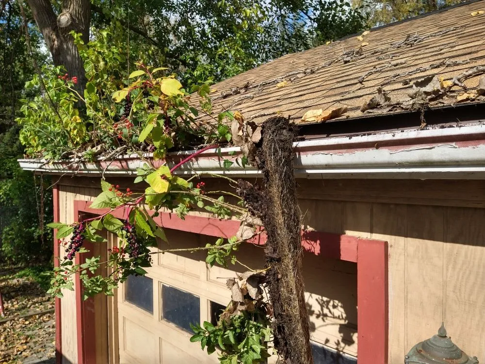 Custom outdoor landscaping experts serving Pontiac, MI - RNC Lawn care