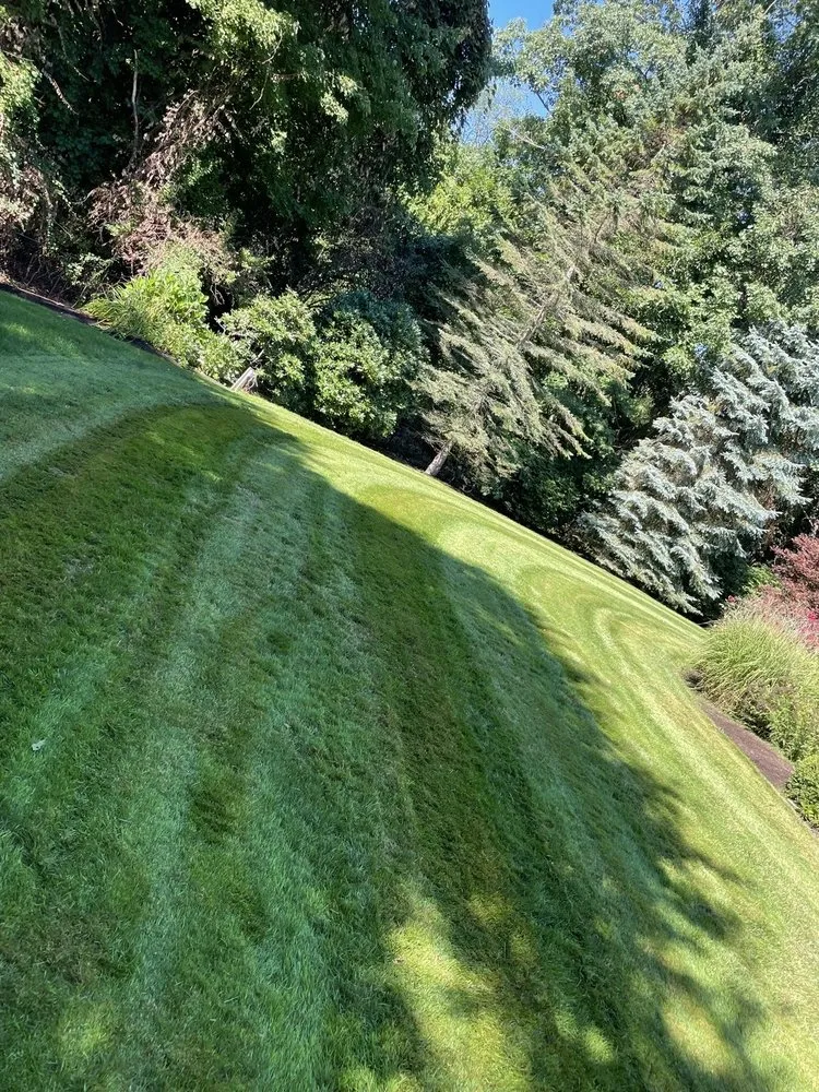 Custom yard cleanup service experts serving Salem, MA - RnC Property Services