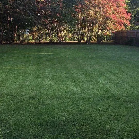 Local garden landscaping for beautiful yards in Bells, TX by RNF Lawn Service