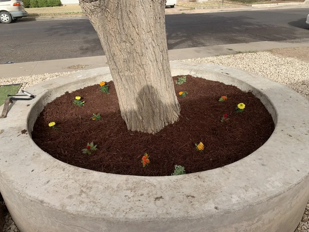 Affordable landscape design in Odessa, TX by RNF Total Home Services