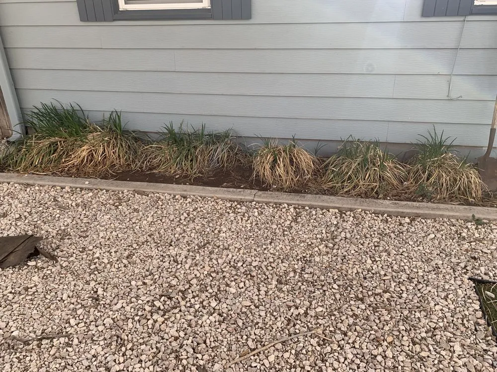 Custom lawn care service for year-round maintenance in Odessa, TX by RNF Total Home Services