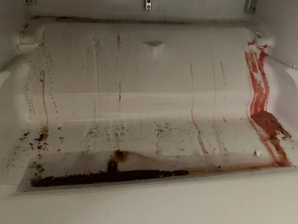 Expert lawn care service in Odessa, TX by RNF Total Home Services