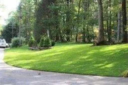 Professional outdoor landscaping in Sudbury, MA by RNH Landscape and Design
