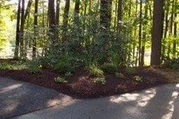 Affordable yard maintenance for beautiful yards across Sudbury, MA - RNH Landscape and Design