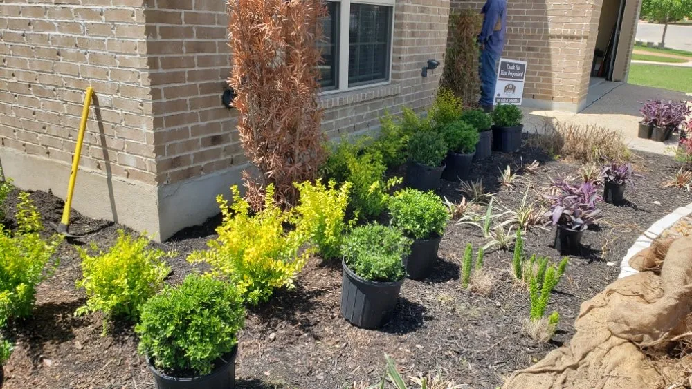 Reliable landscape design in Terrell, TX by RNM Lawn Service