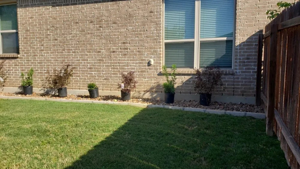 Expert yard maintenance in Terrell, TX by RNM Lawn Service