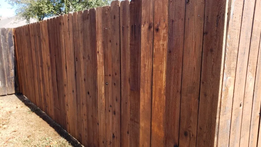 Professional yard maintenance in Terrell, TX - RNM Lawn Service