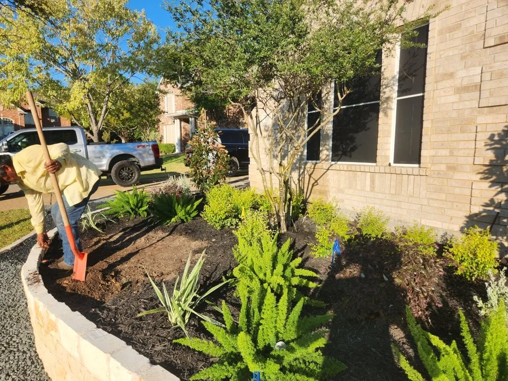 Affordable yard maintenance in Terrell, TX - RNM Lawn Service