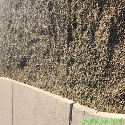 RNM  Lawn Service Logo