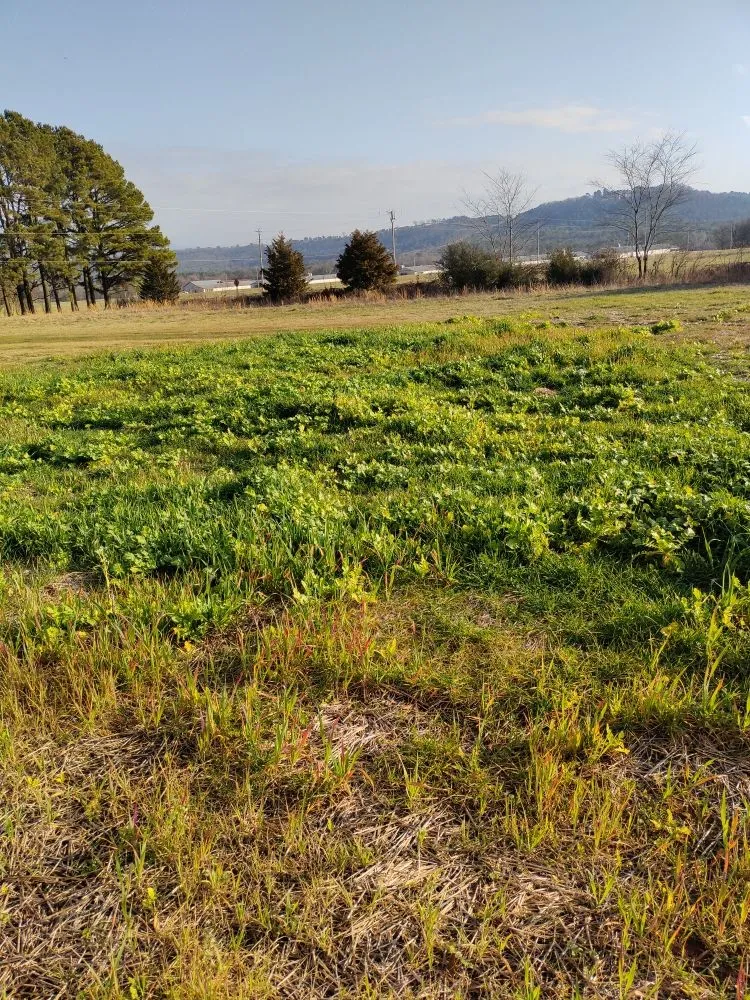 Expert landscape installation for outdoor upgrades in Altus, AR by RnR