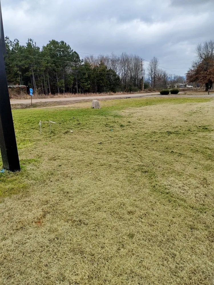 Reliable yard maintenance for year-round maintenance across Altus, AR - RnR