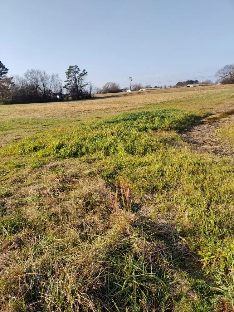 Reliable outdoor landscaping for outdoor upgrades in Altus, AR by RnR