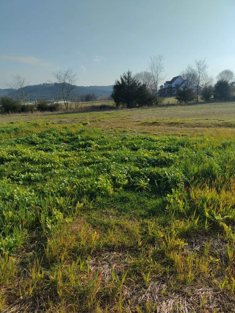 Professional lawn care service in Altus, AR by RnR