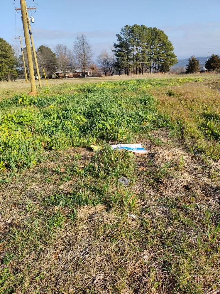 Trusted lawn mowing service for residential properties in Altus, AR by RnR