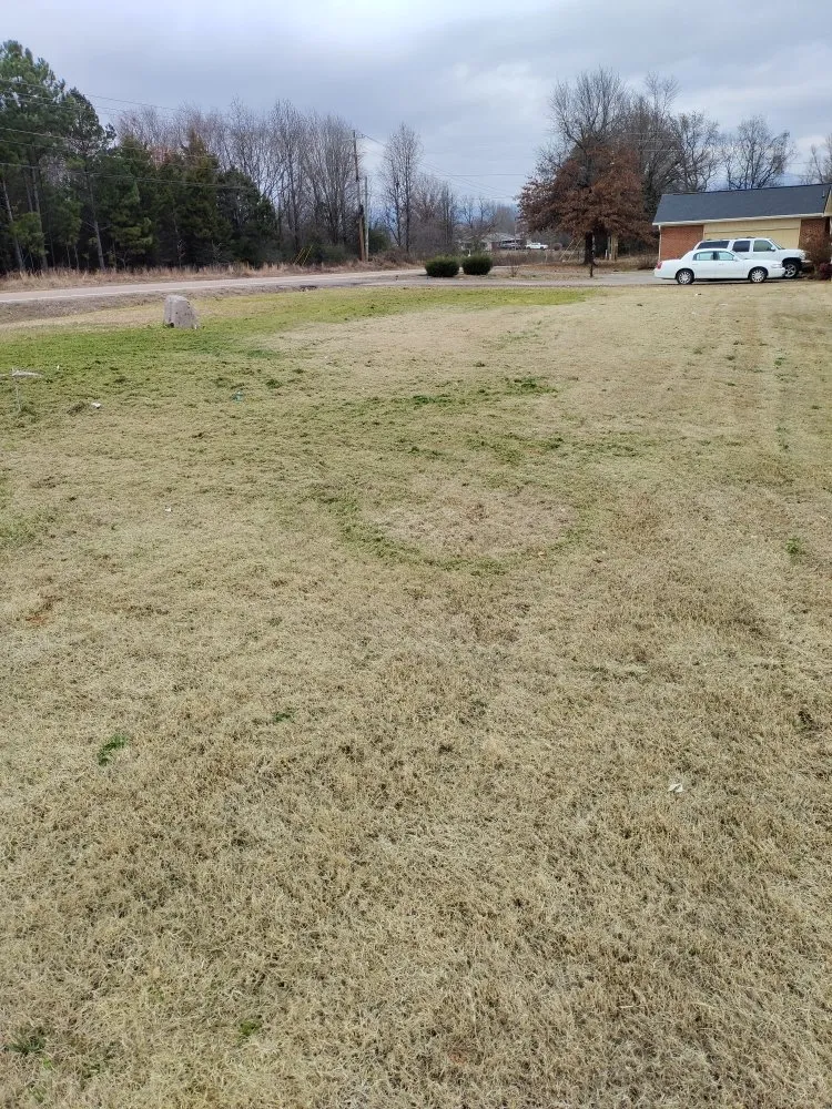 Reliable landscape installation near you in Altus, AR by RnR