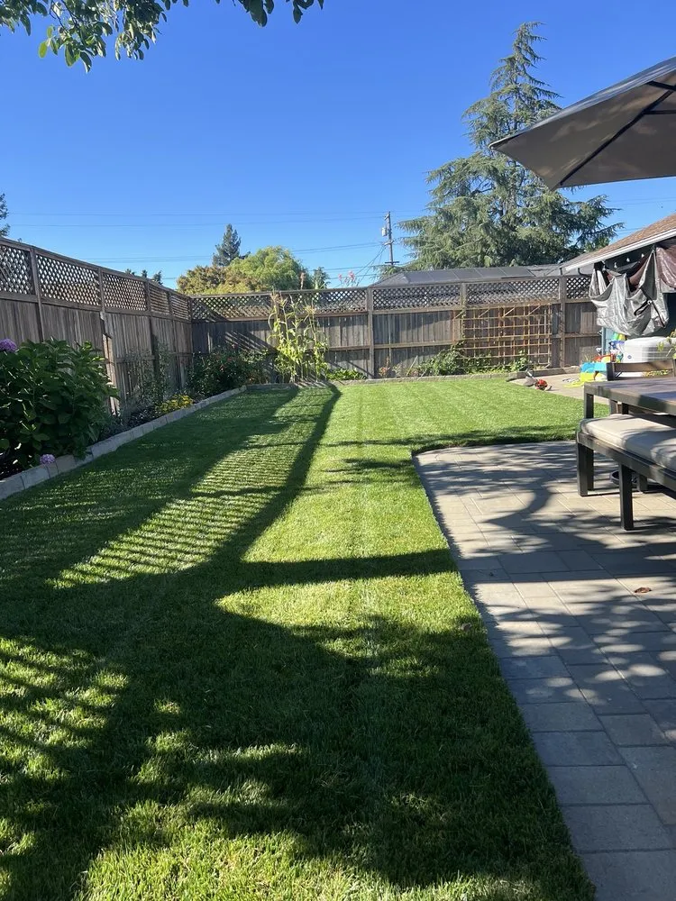 Custom lawn care service for beautiful yards in Penngrove, CA by RNR Landscaping