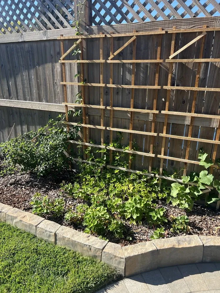 Professional garden landscaping experts serving Penngrove, CA - RNR Landscaping