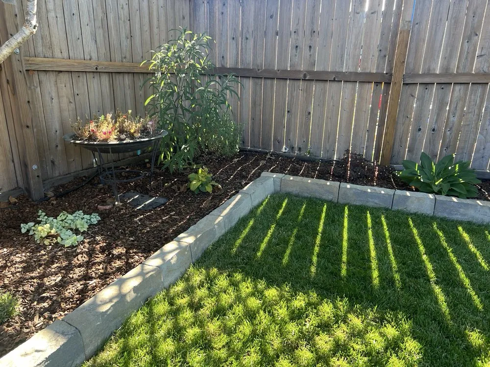 Affordable yard cleanup service for homes across Penngrove, CA - RNR Landscaping
